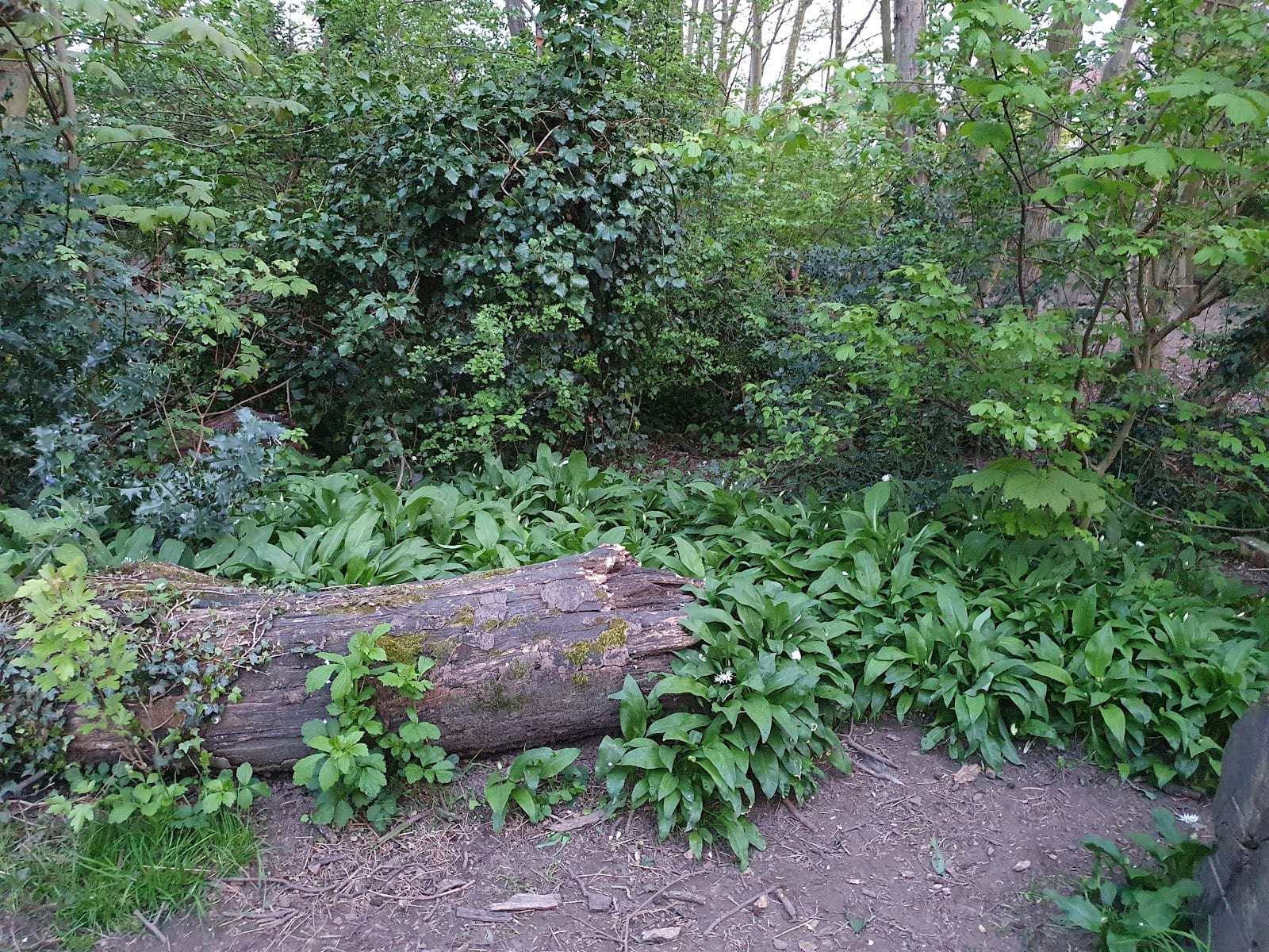 Eagle Park, photo 3