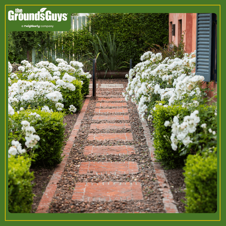 The Grounds Guys of Greenville, SC, photo 4