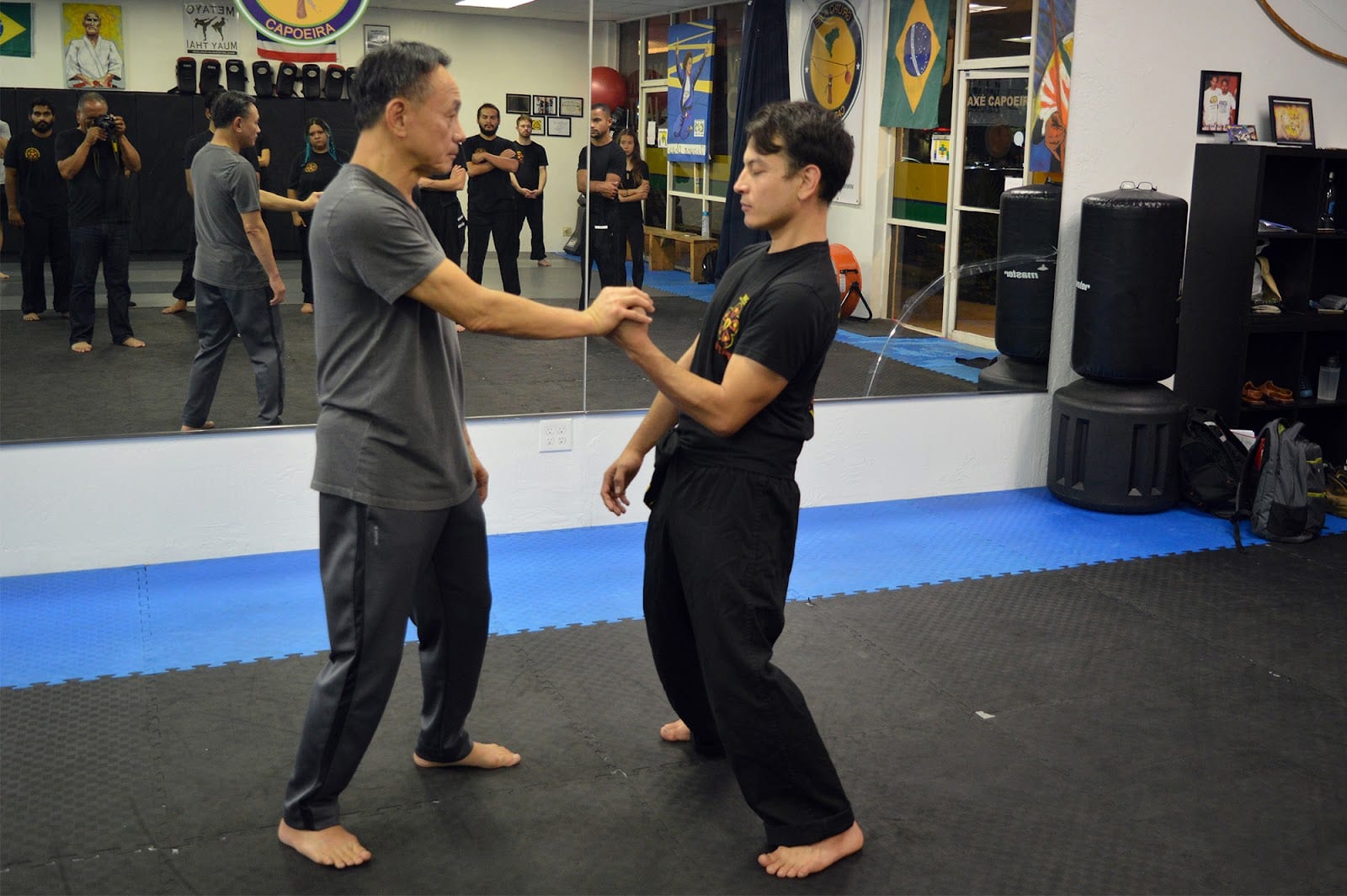 Integrative Wing Chun Phoenix