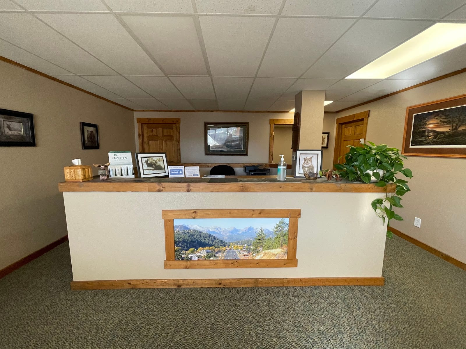 Estes Park Chiropractic, photo 3