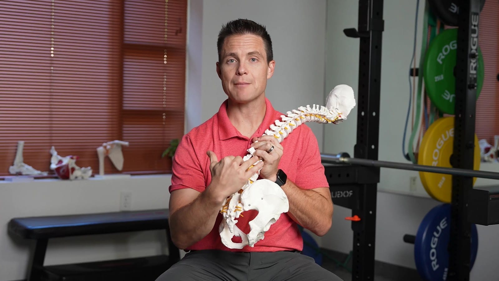 Laws of Motion Physical Therapy, photo 4