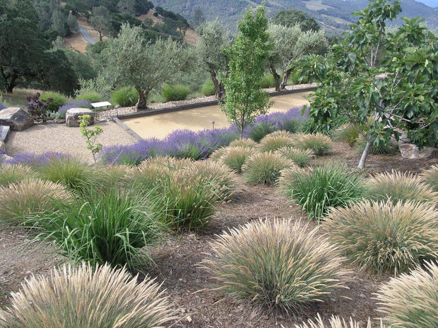 Lori Cagwin Landscape Architecture