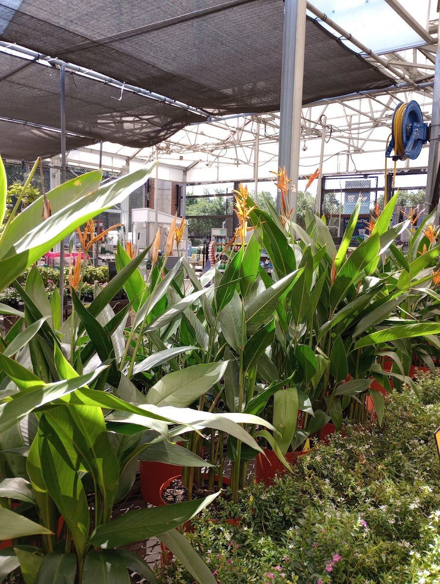 Lowe's Garden Center, photo 3