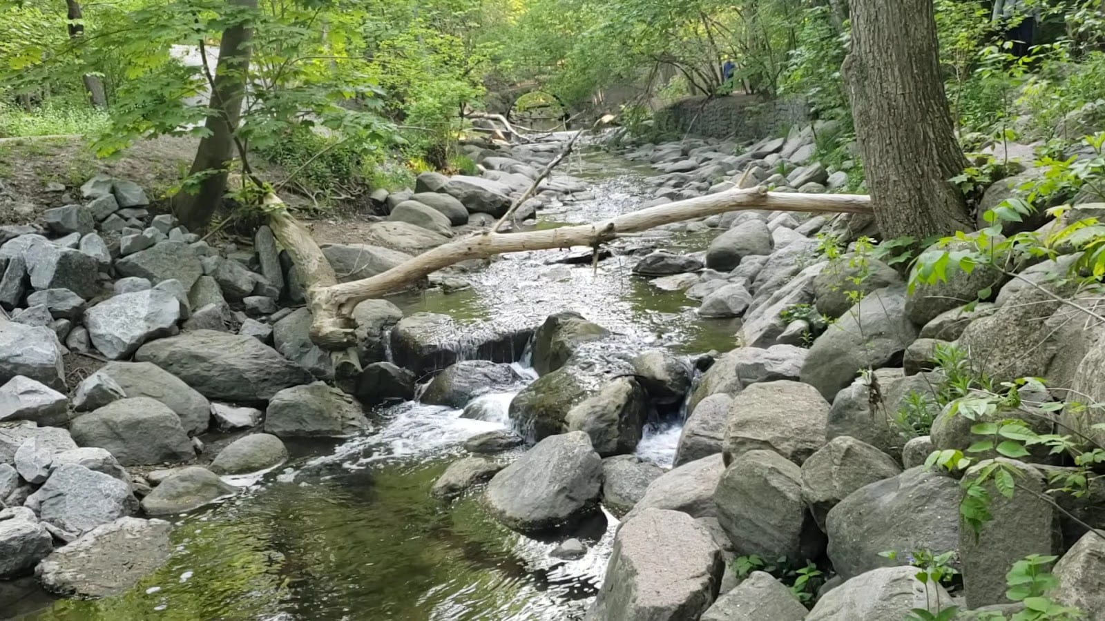 Sunnydene Park, photo 2