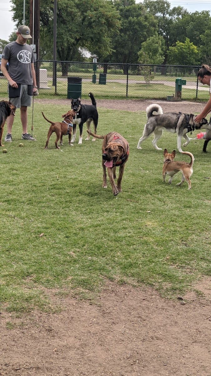 MacKenzie Canyon Run Dog Park