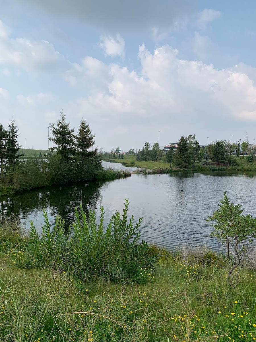 Emerald Hills North Ponds, photo 3