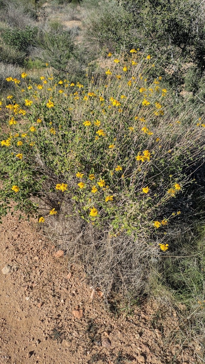 McDowell Sonoran Preserve, photo 2