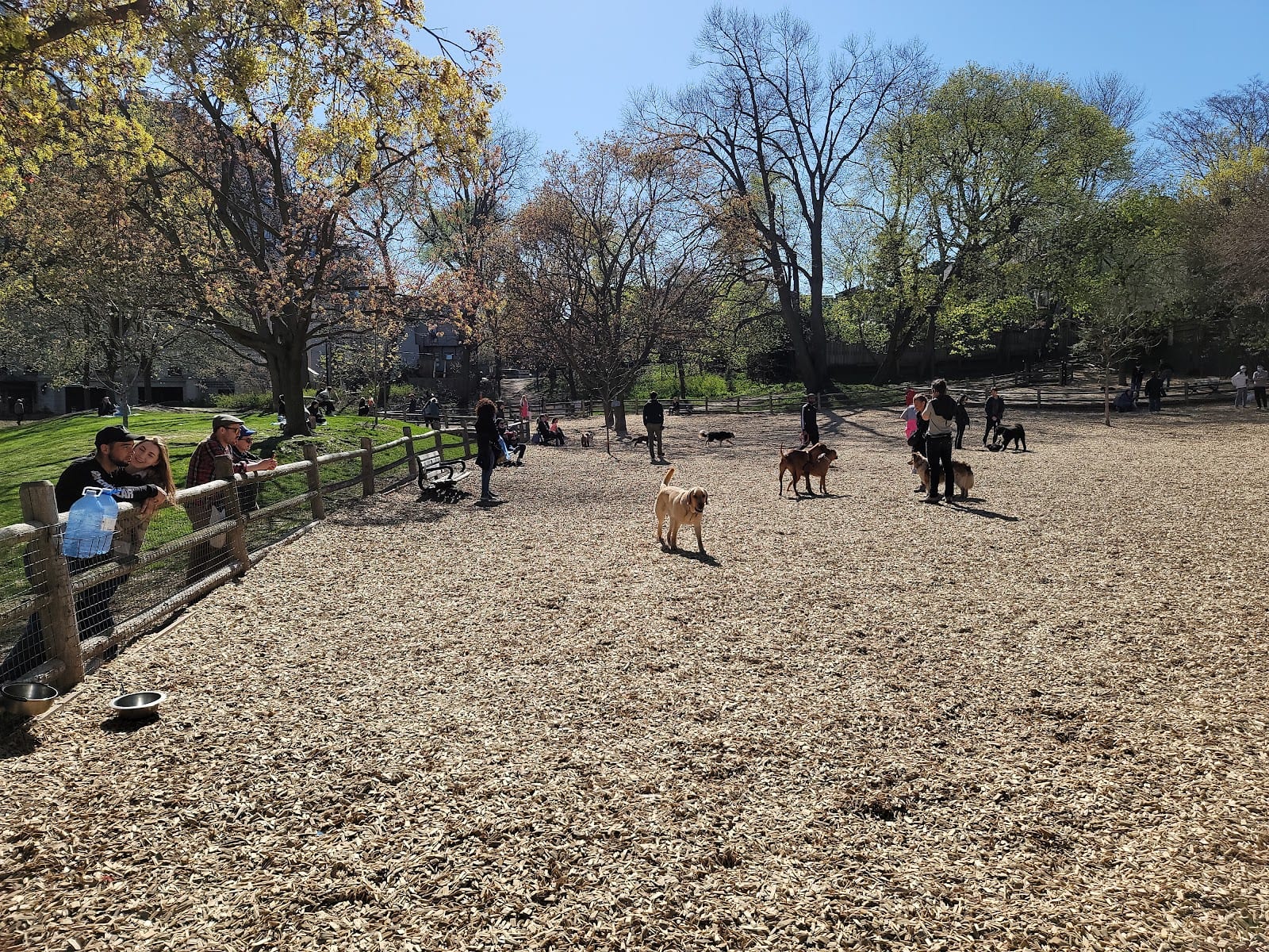 Ramsden Dog Park