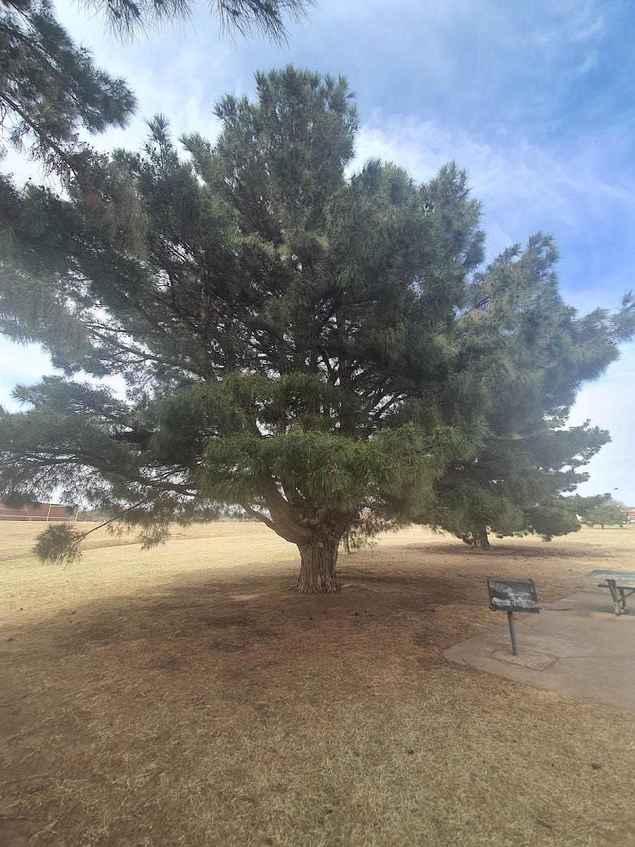 Jack Stevens Park