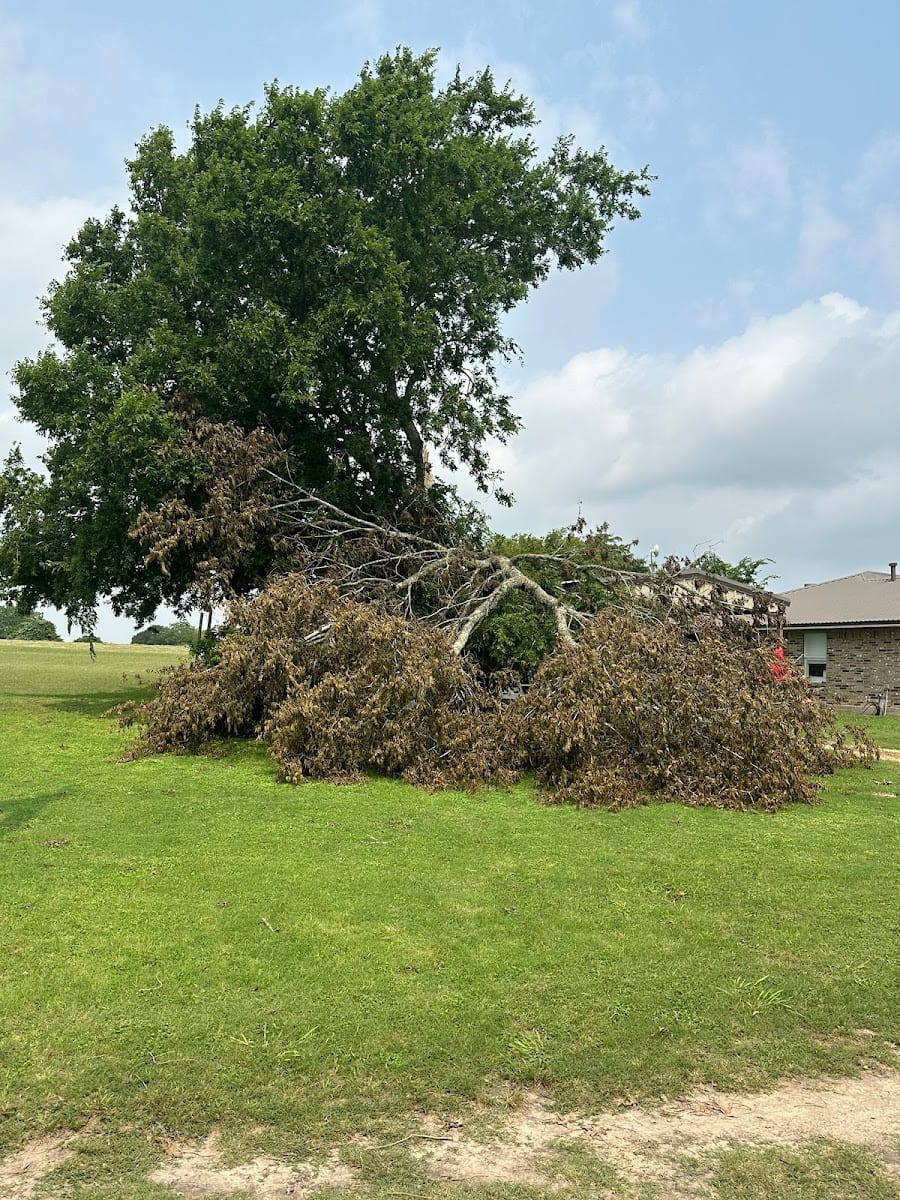 Master Trees Services Brenham, TX