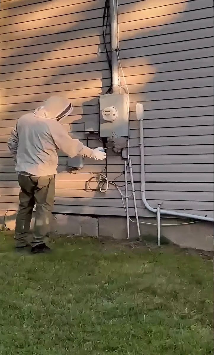 Swift Pest Control of Richmond Hill