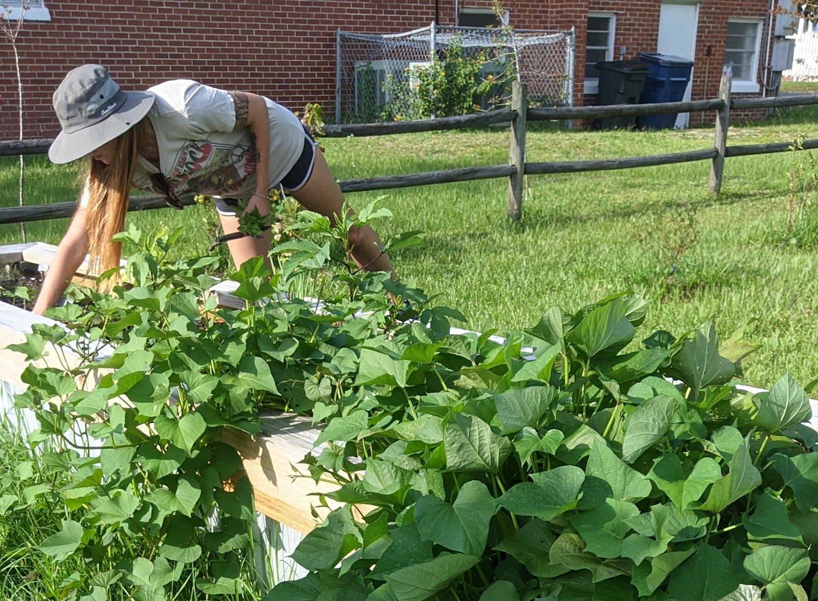 C.M. Kidd Harris Community Food Forest Park, photo 2