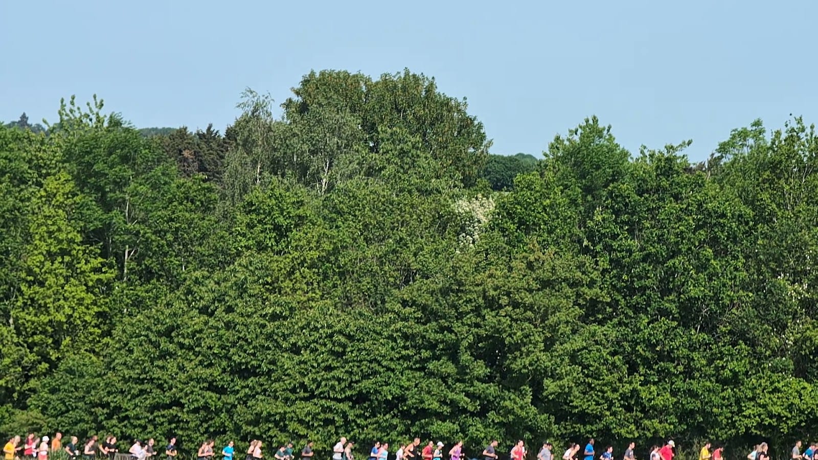 Jersey Farm Woodland Park, photo 2