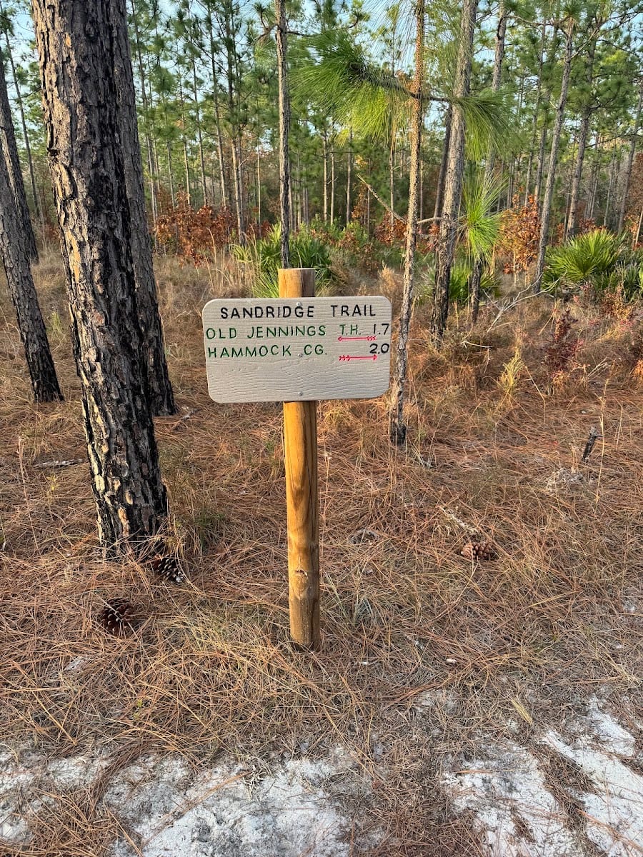 Old Jennings Recreation Area, photo 3