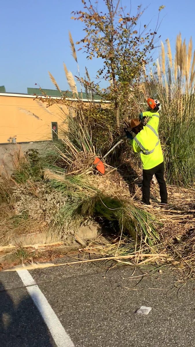 Hawks Lawn Care Services & More LLC, photo 3