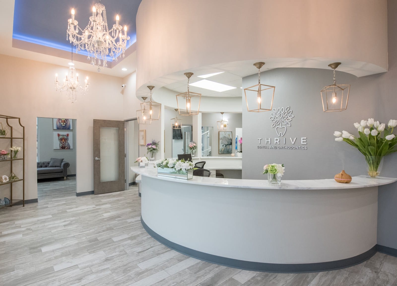 Thrive Dental and Orthodontics Frisco