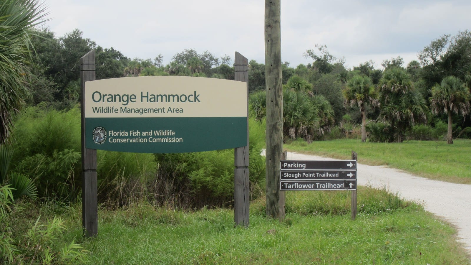 Orange Hammock Wildlife Management Area, photo 3