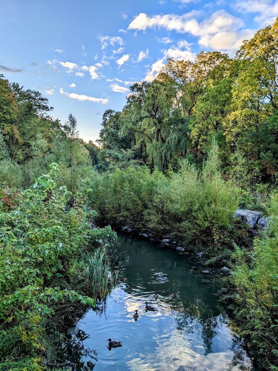 Duncan Creek Trail, photo 3
