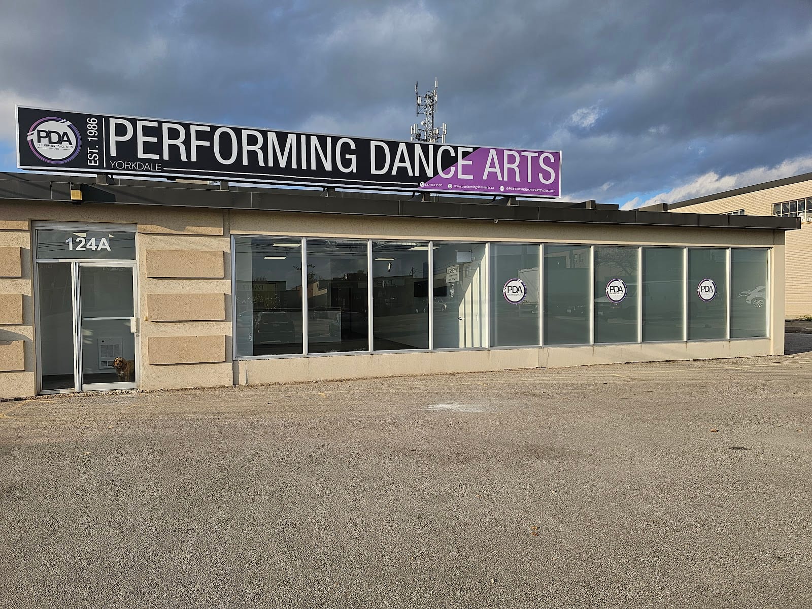 Performing Dance Arts Yorkdale