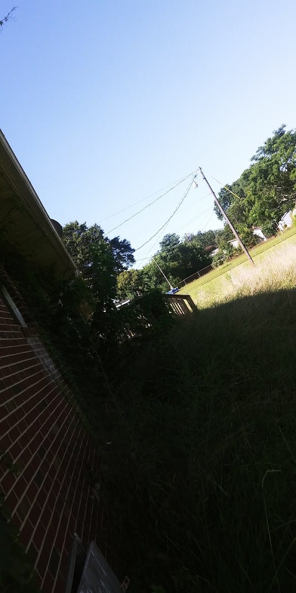 D and B's Lawn Care and BushHogging, photo 3