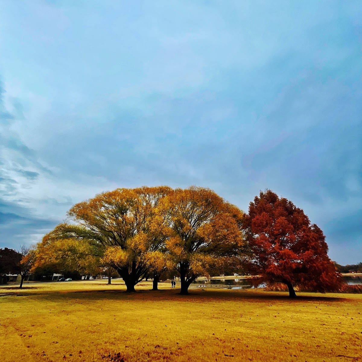 Dupree Park