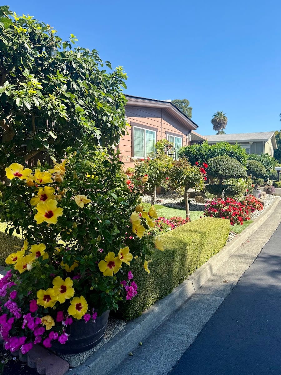 American Canyon Mobile Home Park, photo 4