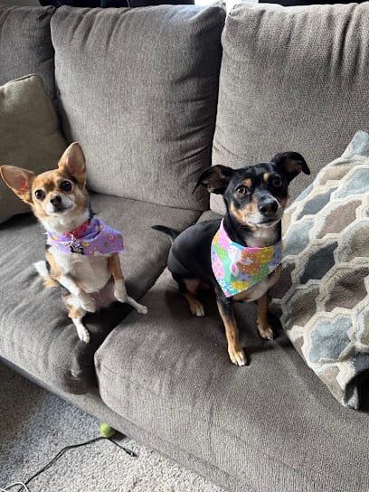 Eva’s Paw Spa LLC