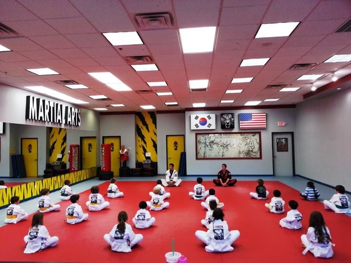 J Tiger martial Arts Trophy club, photo 3