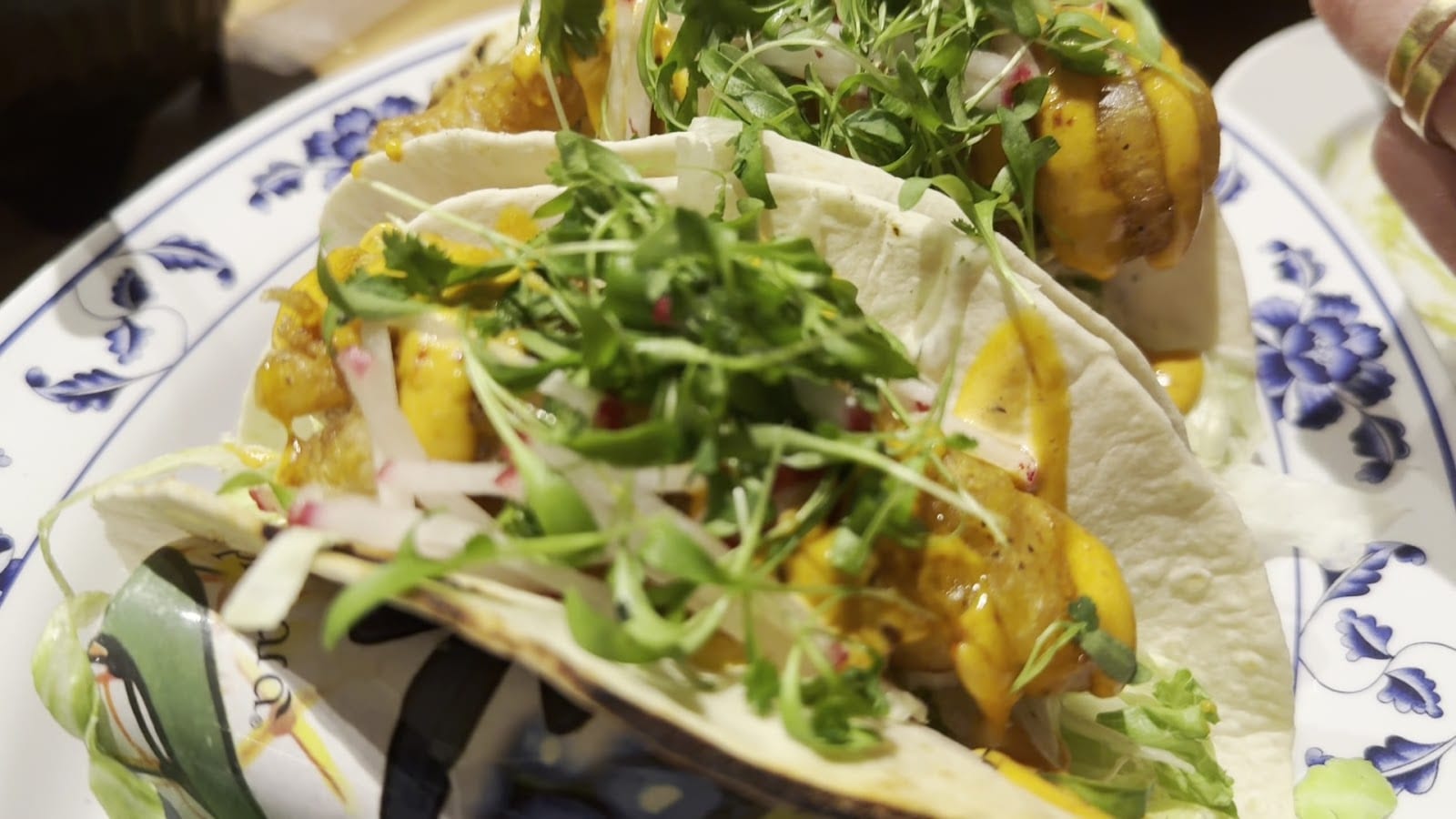 JOTORO Kitchen & Tequila Bar, photo 3