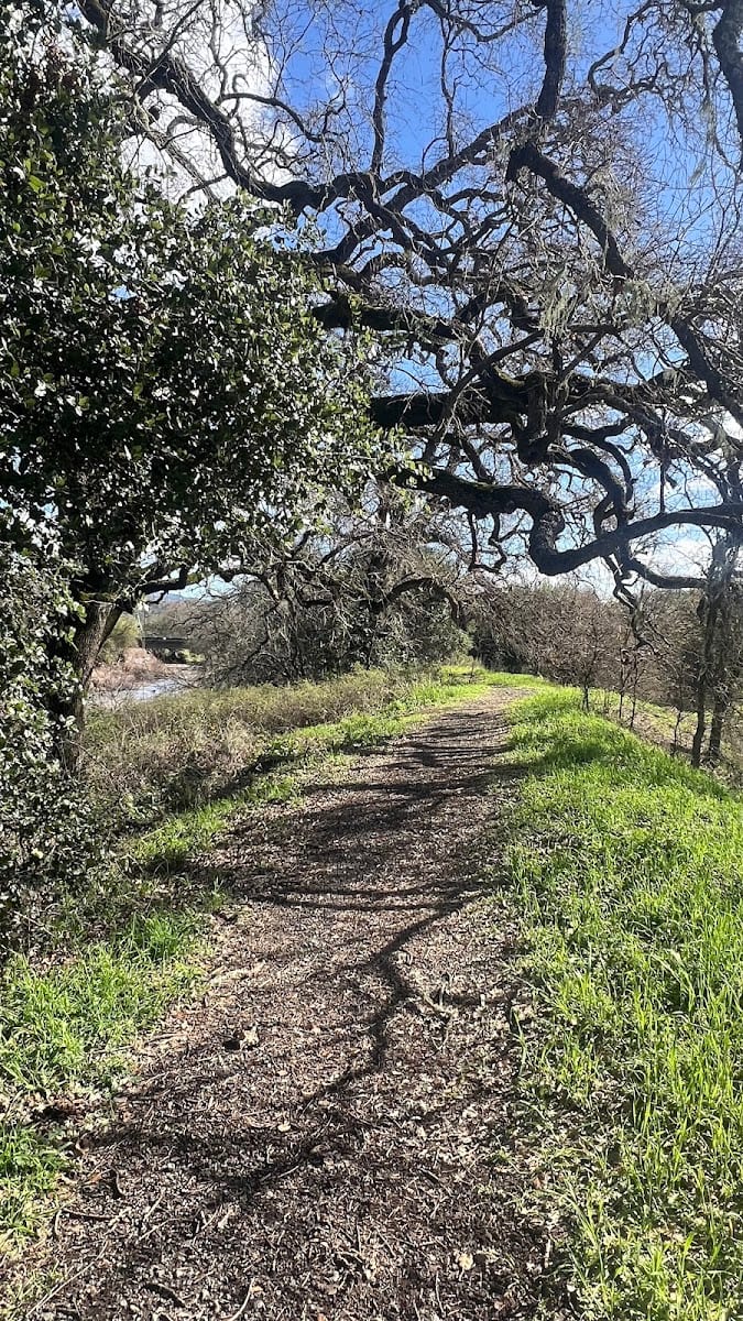 Napa River Ecological Reserve