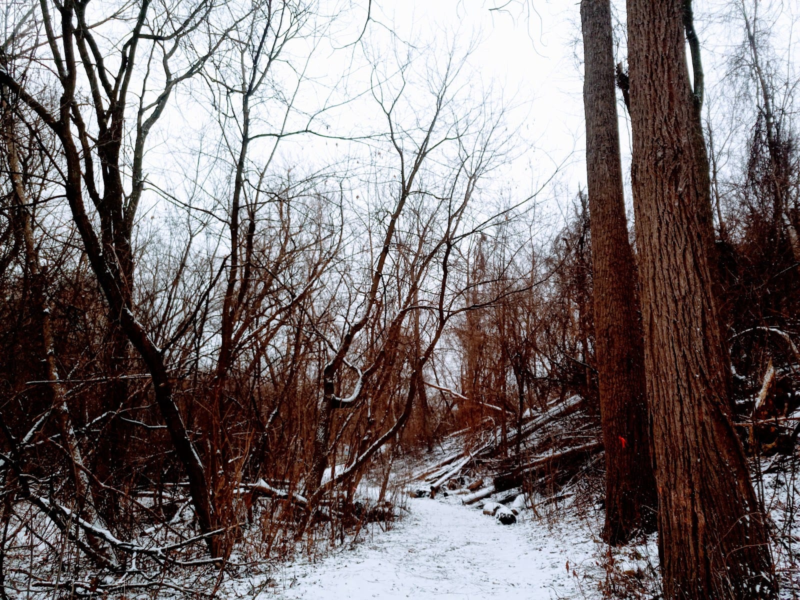 German Mills Greenway