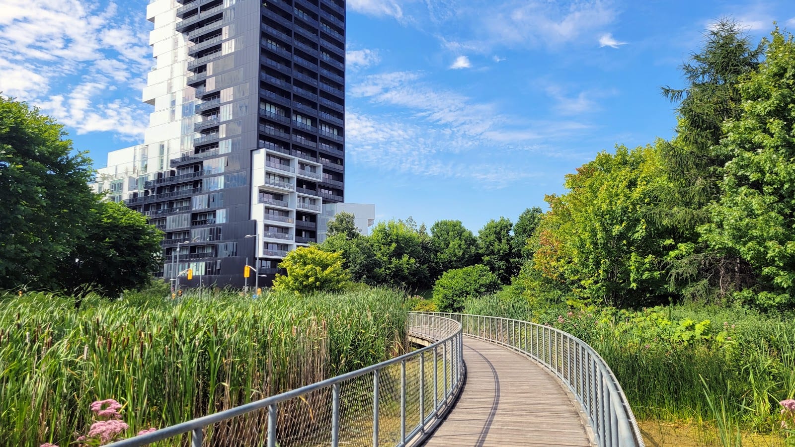 Corktown Common, photo 3