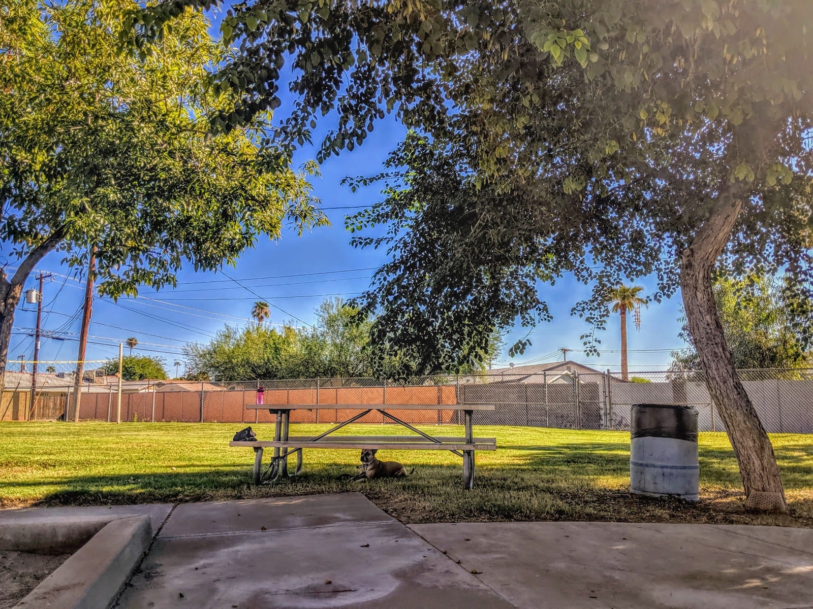 Papago Rotary Park, photo 3