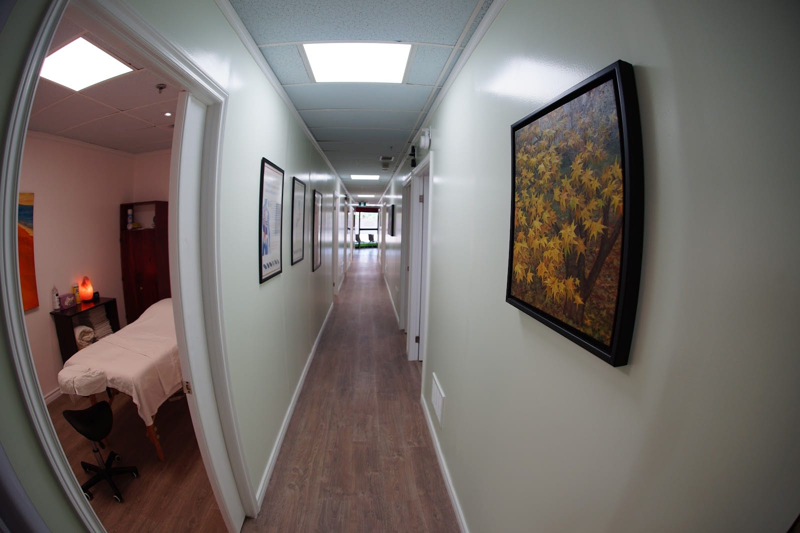 Chiropractor Clinic, photo 2