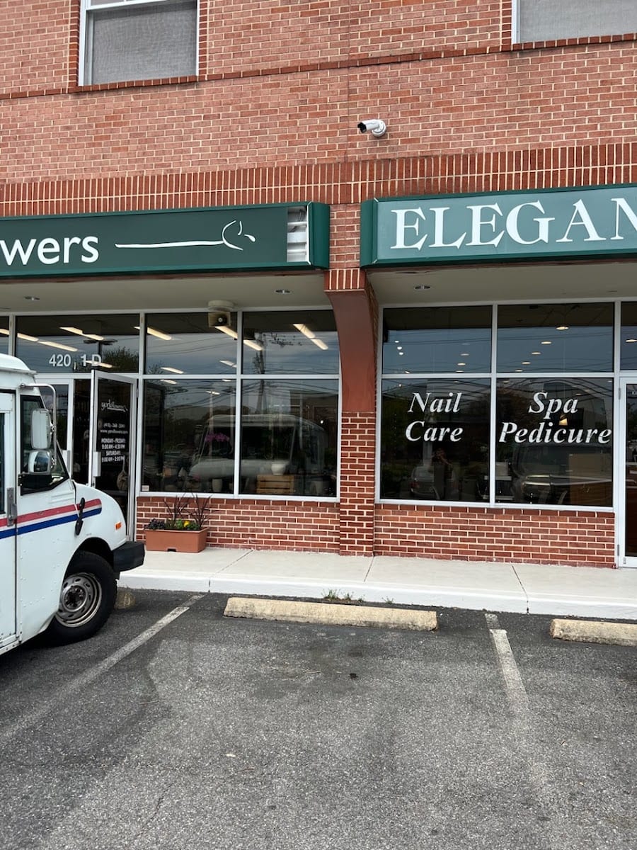 Elegant Nails & Spa, photo 3