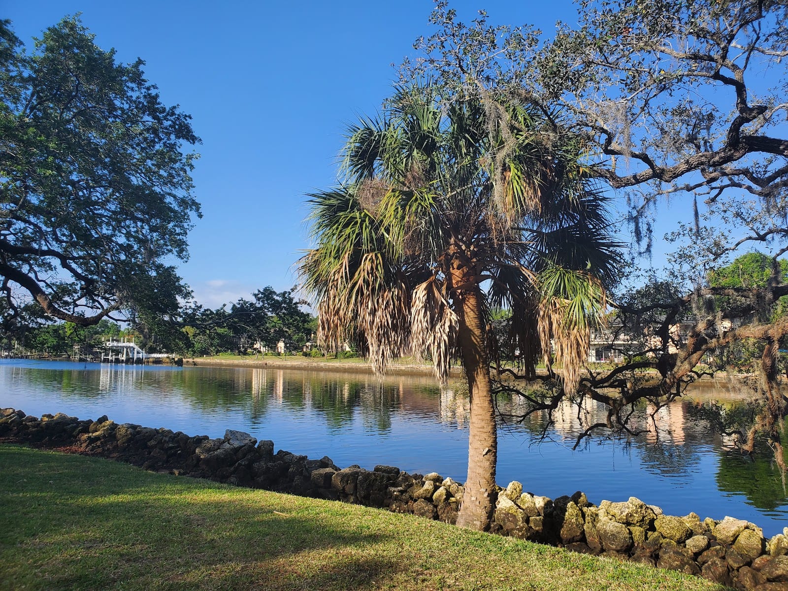 Ignacio Haya Linear Park, photo 3