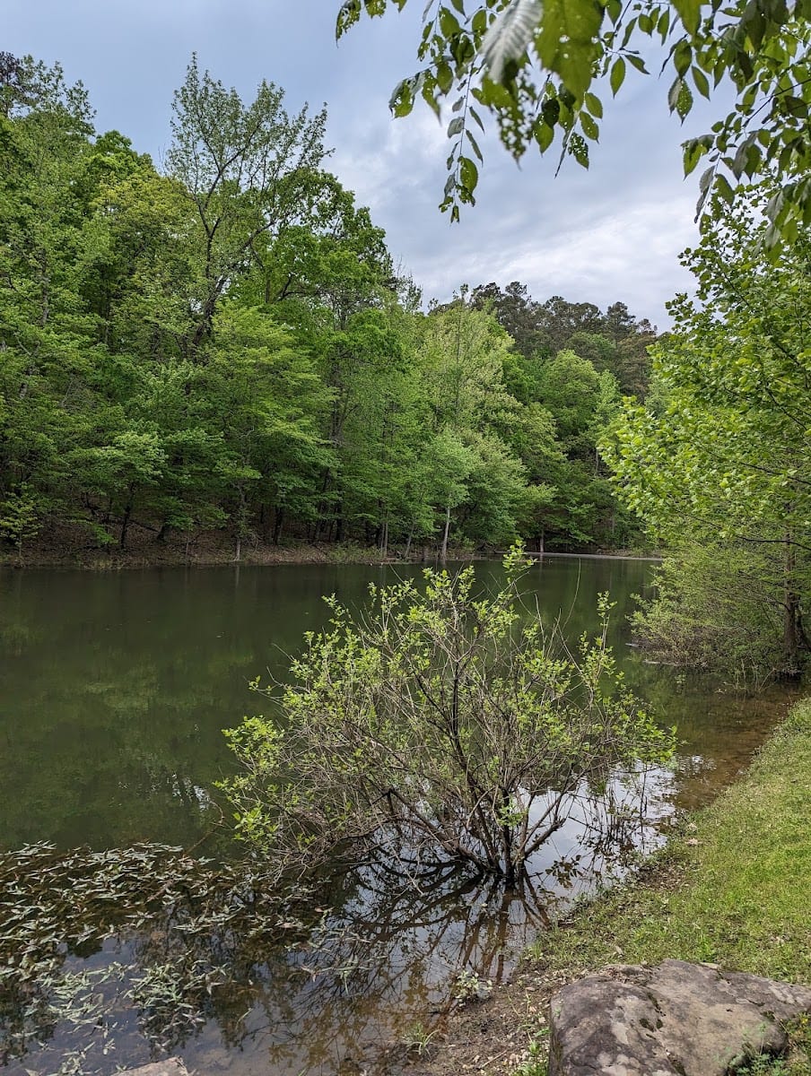 Bottomland Trail