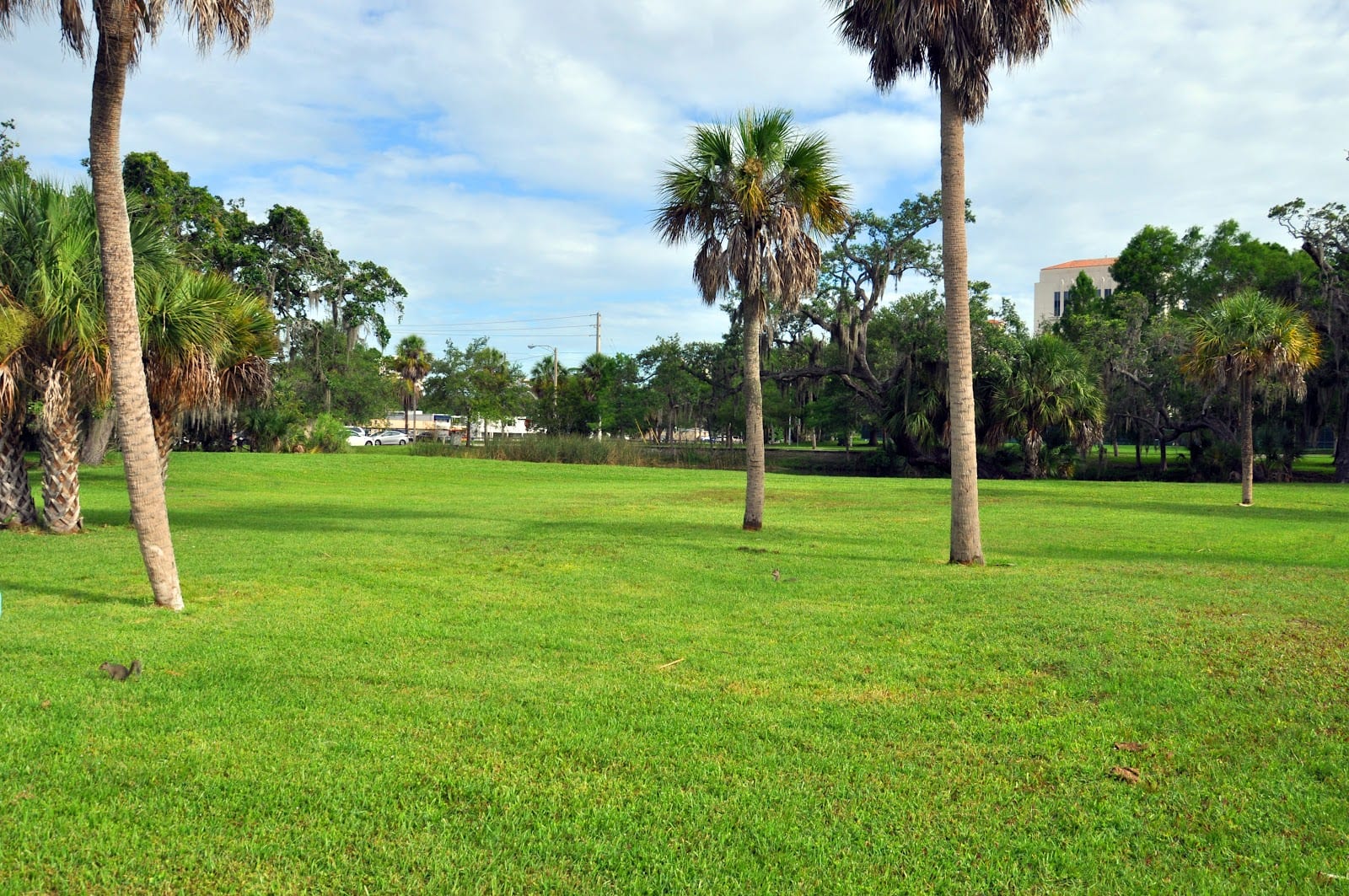 A.B. Smith Park