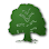 Allergy and Asthma Clinic of Central Texas