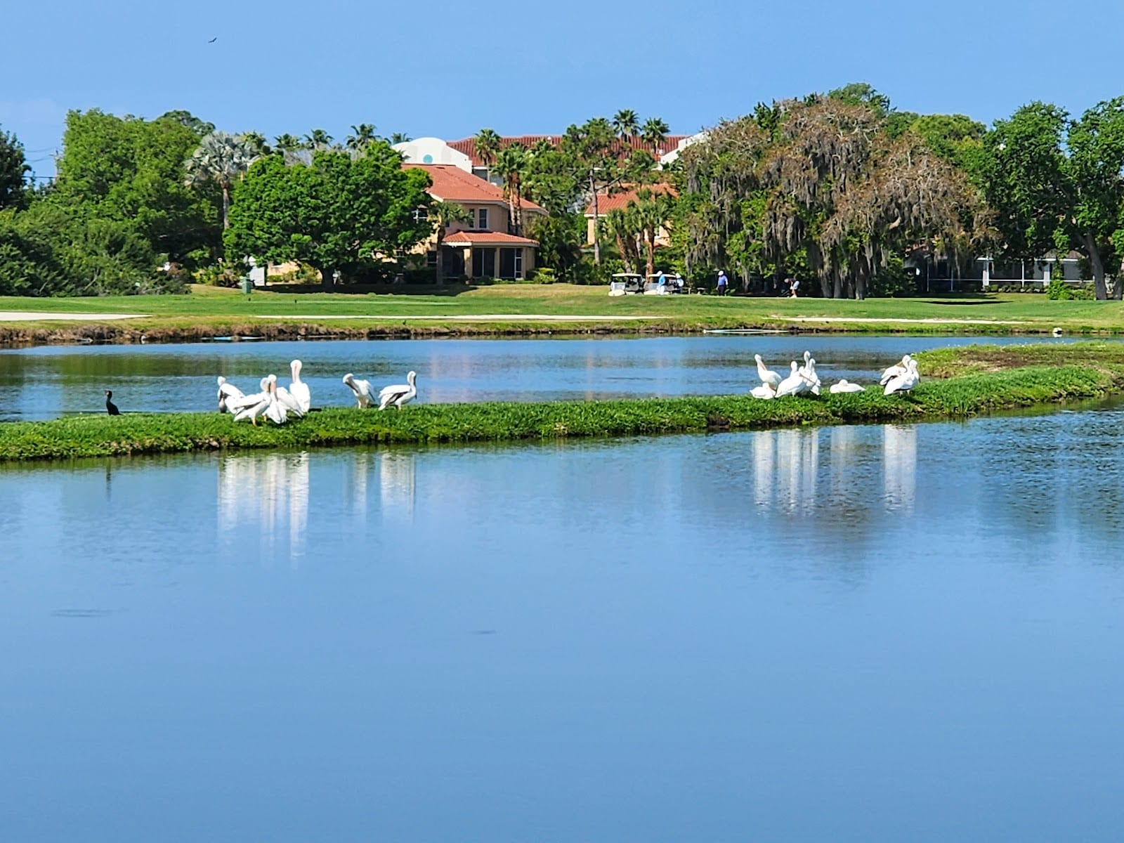 Sarasota National Little League