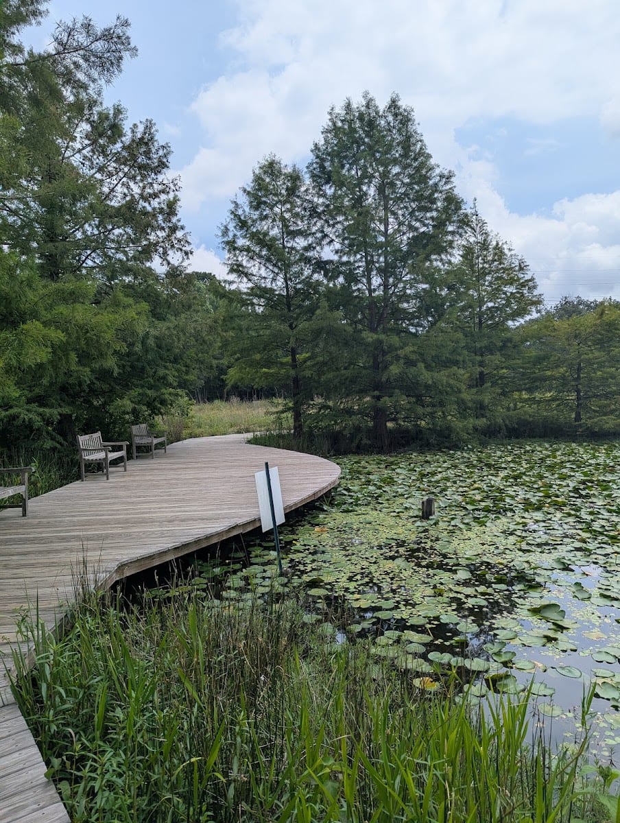 Arboretum Lake