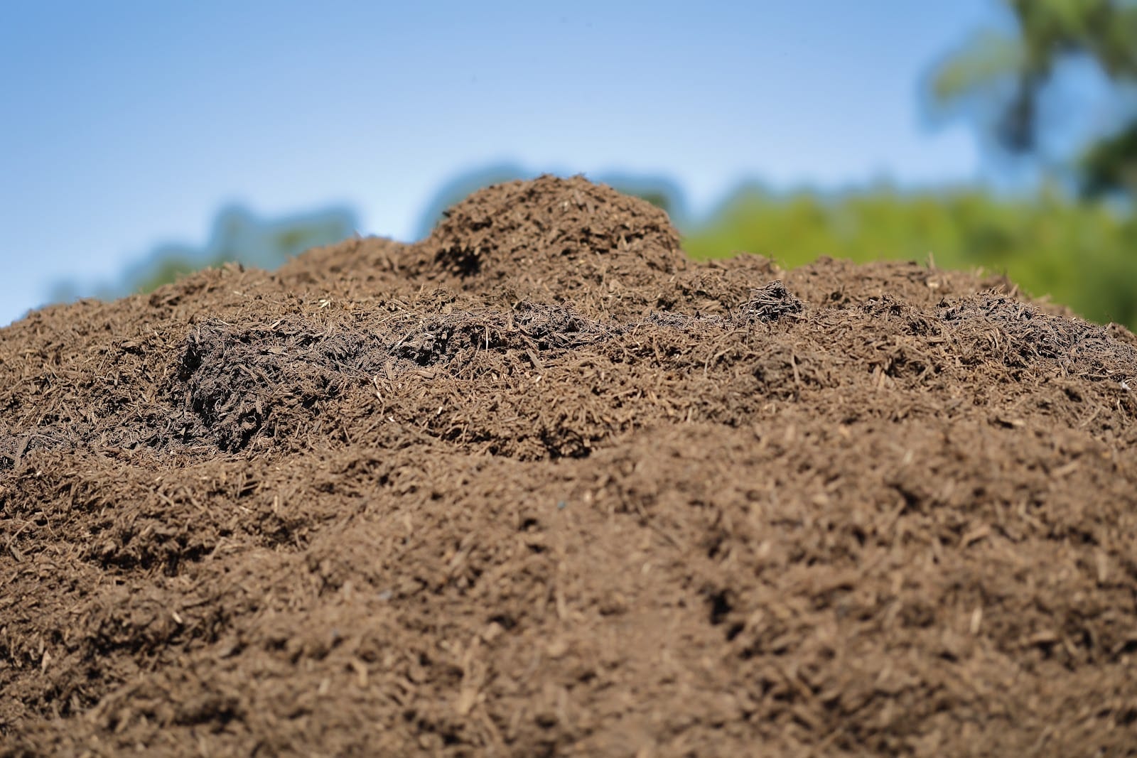 Tree Line Houston Plus - Grass/Landscaping Supply/Equipment Rentals & Demolitions
