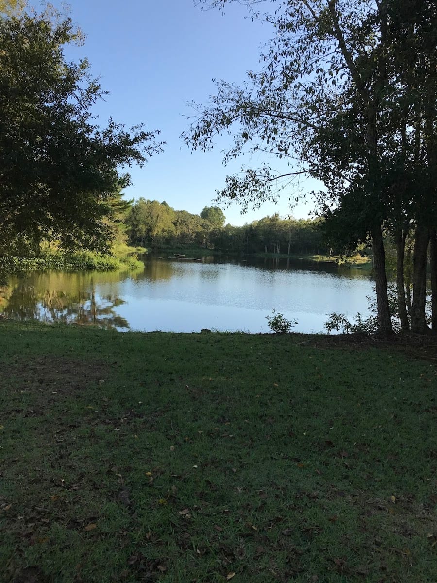 CJ's Par 3