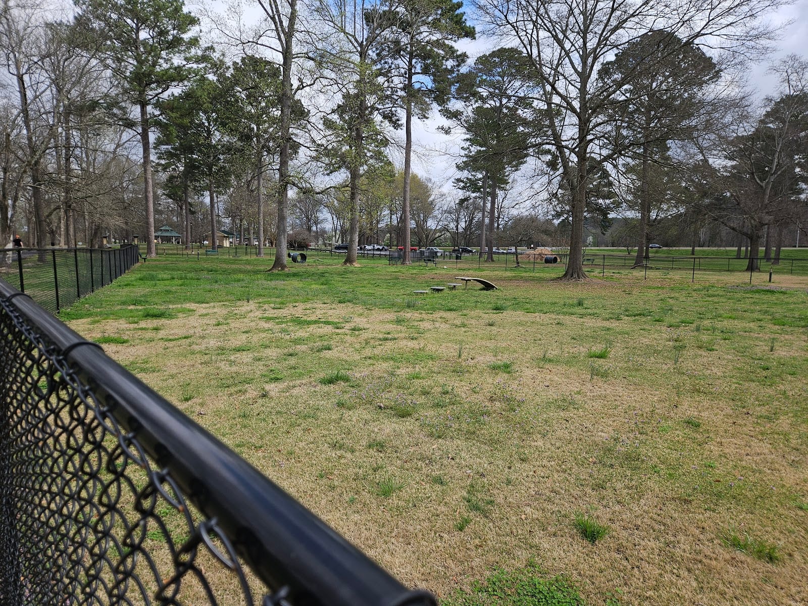 Dog park