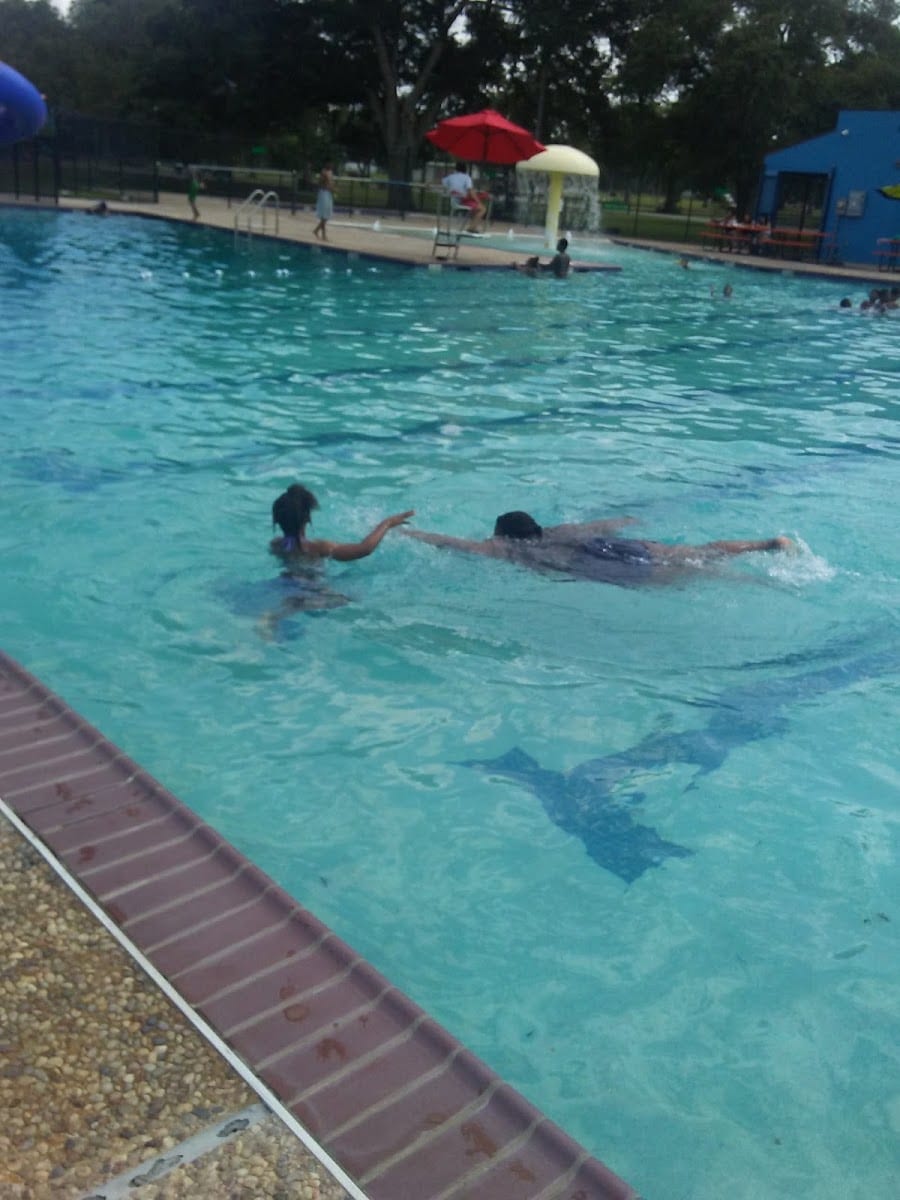 Magnolia Swimming Pool