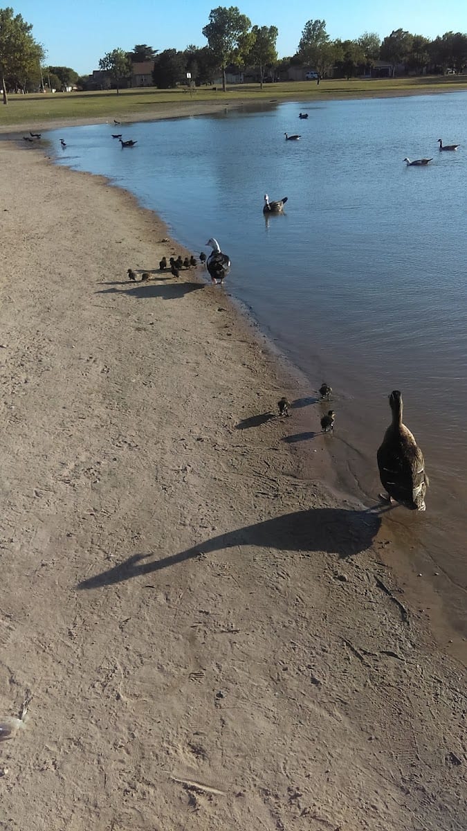 Earl Crow Park, photo 3