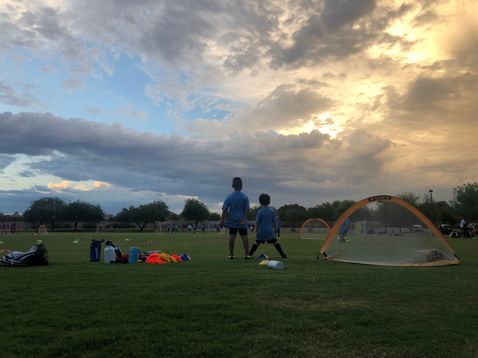 Field 9