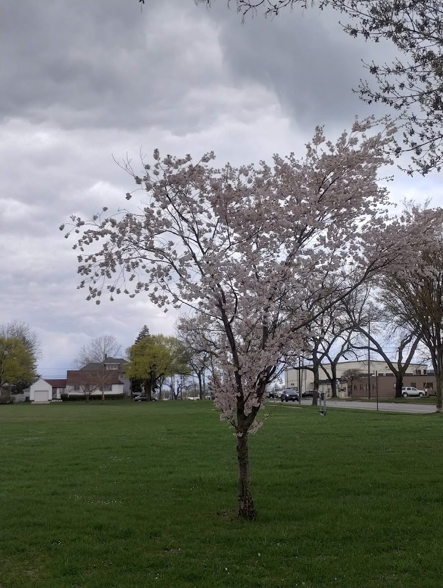 Paul Bianchi Park, photo 3
