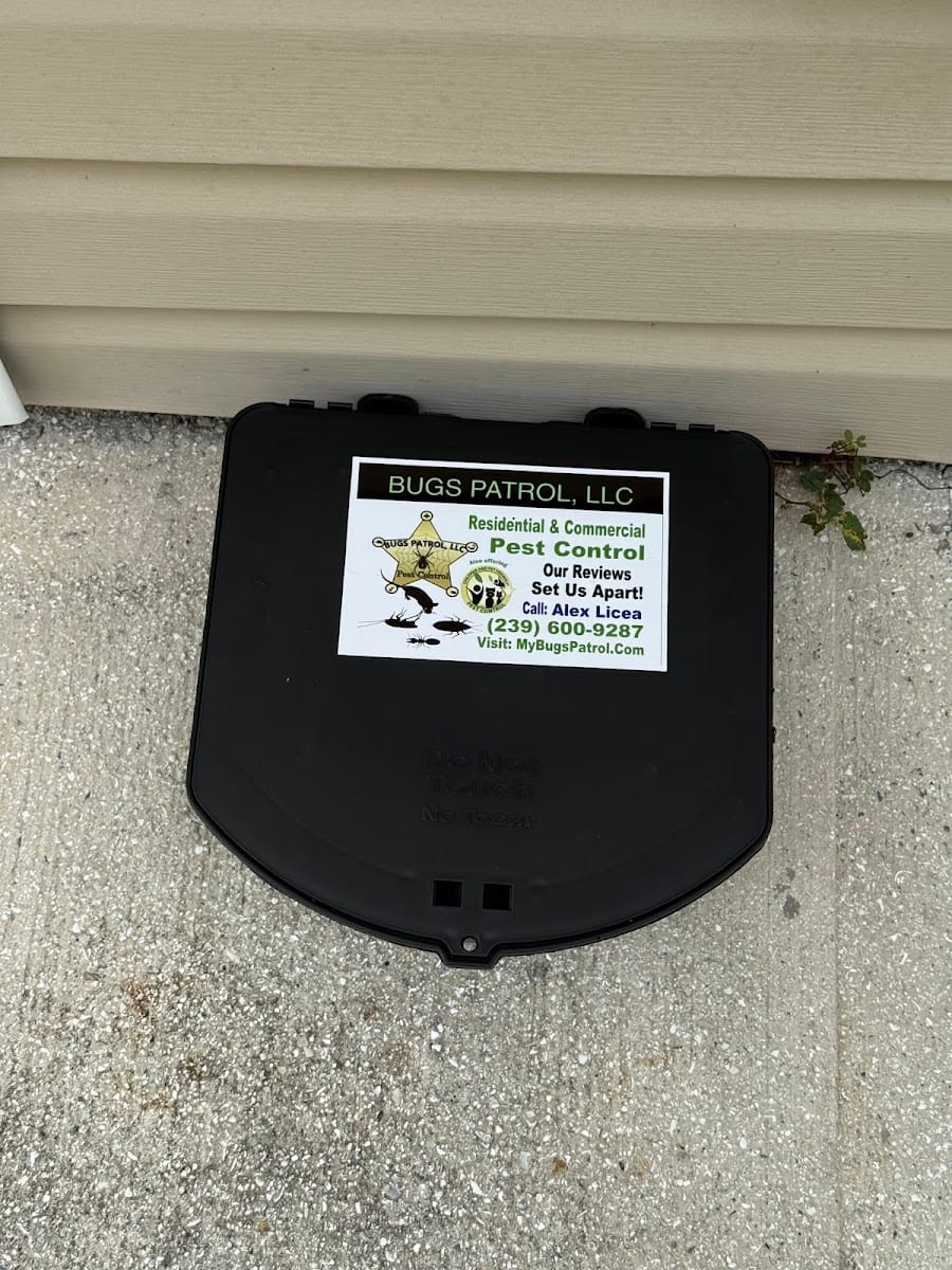 Bugs Patrol LLC Pest Control, photo 4