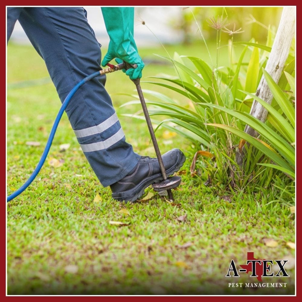 A-Tex Pest Management, Inc., photo 3